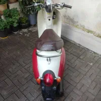 موتور پاکشتی|موتورسیکلت|رشت, کوی بیانی|دیوار