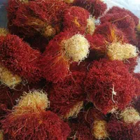 خرید زعفران در محل|خوردنی و آشامیدنی|مشهد, کوی سیدی|دیوار