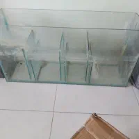تسویه اکواریوم معاوضه
