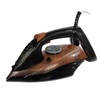 اتو بخار Been ۳۹۰۵