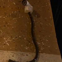 نصب دوربین مداربسته، دزدگیر اماکن|خدمات پیشه و مهارت|تهران, بازار|دیوار