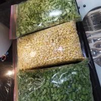 ۱۲ کیلو باقالی سبز درجه یک