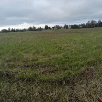 زمین کشاورزی|فروش دفتر صنعتی، کشاورزی، تجاری|خمام, |دیوار