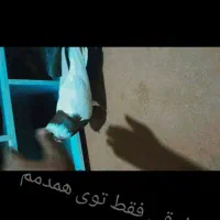 کفتر طوقی دستی و یکی جوجه دمبی نیمه دستی|پرنده|اردکان, |دیوار