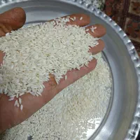 فروش برنج عنبربوه امسال معطر قم چهارمردان کوچه 10