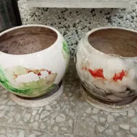 دو عدد گلدان  وزیر گلدان|گل و گیاه طبیعی|تهران, چوب تراش|دیوار