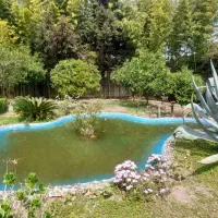 رهن و اجاره ویلاباغ شهرکی در متل قو ( تیلاکنار )|اجارهٔ خانه و ویلا|سلمان‌شهر, |دیوار