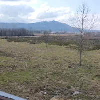 زمین هکتاری کاربری مسکونی و گردشگری لاهیجان