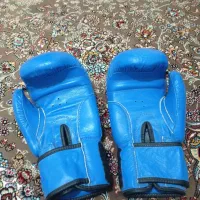 دستکش بوکس|تجهیزات ورزشی|بوکان, |دیوار