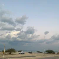 اجاره موتور وسپا