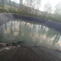 فروش ویژه بچه ماهی گرمابی