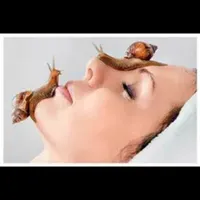 باکس حلزون البینو|خزنده|کرمان, |دیوار