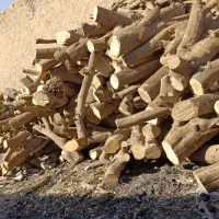 چوب و درختی