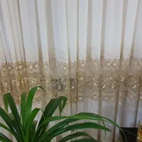 پرده|پرده، رانر، رومیزی|تربتحیدریه, باغ سلطانی|دیوار