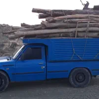خریدار انواع چوب تر وخشک بابالاترین قیمت