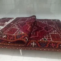 فرش دستباف چشمه وزان|فرش|اهر, |دیوار