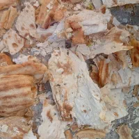 نان خشک تمیز وبدون کپک|خوردنی و آشامیدنی|مشهد, شهرک شهید باهنر|دیوار