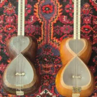 تار حرفه ای با مهر قسمتی