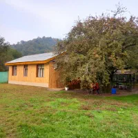 کلبه جنگلی آرامش