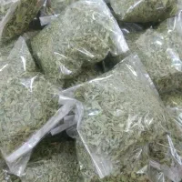 نعنا خشک شده تازه و معطر