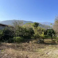 ۲۴۵۰ مترمربع بَرِ اتوبان اصلی ۲ کله تراکم ۱۰ طبقه|فروش زمین و ملک کلنگی|رامسر, |دیوار