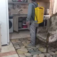 سمپاشی سوسک و ساس