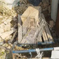 ۴عدد گاری (چهارچرخ)|ابزارآلات|کرج, برغان|دیوار