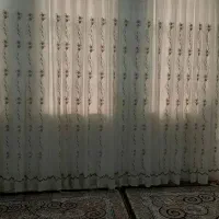 پرده و چوب پرده تمیز|پرده، رانر، رومیزی|قم, آزادگان|دیوار