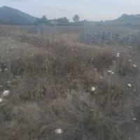 زمین مسکونی
