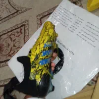 کفش استوک