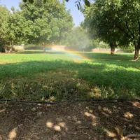 فروش-زمین-و-باغچه-و-مسکونی-دشت-ارژن