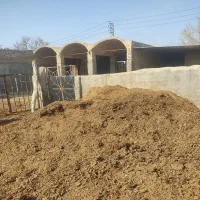 کود حیوانی گاو ، تمیز یک دست خالص،بدون خاک وغیره..|خدمات باغبانی و درختکاری|کاشمر, |دیوار