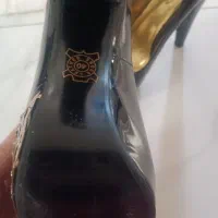 کفش مجلسی