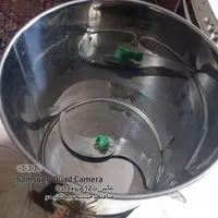 سبزی خوردکن اصل  سیم پیچی مسی|خردکن، آسیاب، غذاساز|تربت‌حیدریه, شهرک ولیعصر|دیوار
