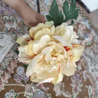 ۸عدد گل|گل مصنوعی|خرم‌آباد, |دیوار