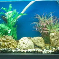 فورش فوری آکواریوم شیشه خم