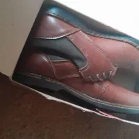 کفش مردانه نونو