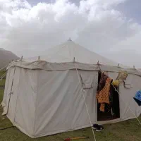 نیازمند خیاط مرد