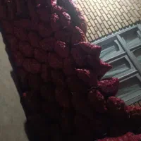 پیاز|عمده‌فروشی|خوی, |دیوار