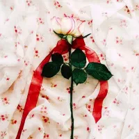 درخواست واحد سرایداری