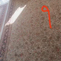 فرش کاملاً نو|فرش|فردیس, فرامرزیه|دیوار
