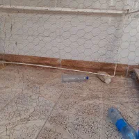 قفس مرغ و پرنده|لوازم جانبی حیوانات|تاکستان, |دیوار