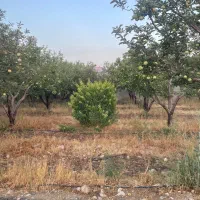 ۳۵۰متر باغچه جابان دماوند سندتکبرگ اب برق گاز