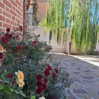 اجاره کوتاه مدت باغ ویلا دو خوابه|اجارهٔ کوتاهمدت ویلا و باغ|بجنورد, |دیوار