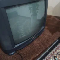 تلویزیون