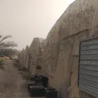 اجاره-گلخانه