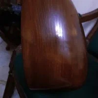 شاه تنبور استاد اسدالله کاسه شاه توت|سازهای سنتی|تهران, شکیبا|دیوار