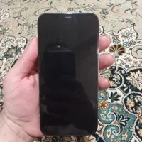 اینترنت ۱۲ پرومگس