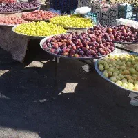 کار درمیوه فروشی