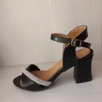 کفش مجلسی